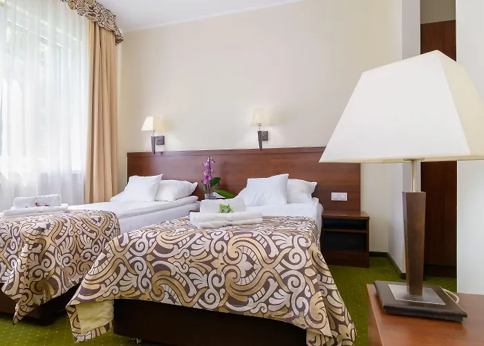 Hotel Hotel Zielony 3*