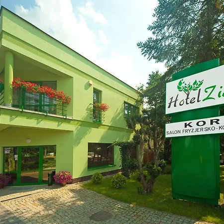 Hotel Zielony 3* بوزنان